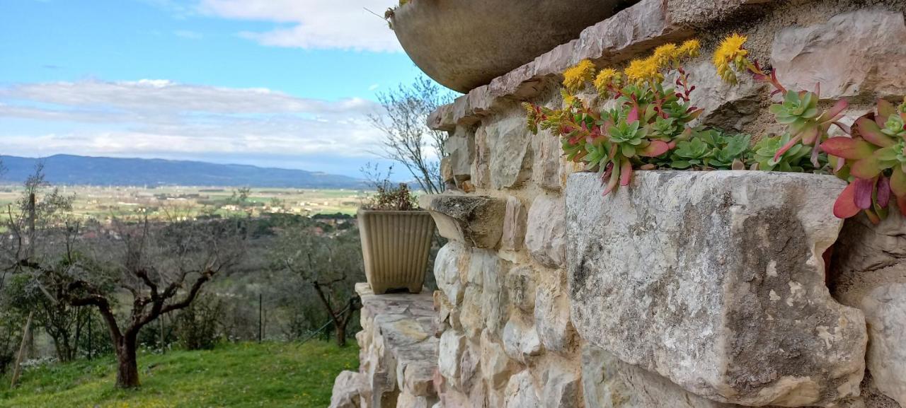 Domus Antiqua Bed & Breakfast Spello Exterior foto