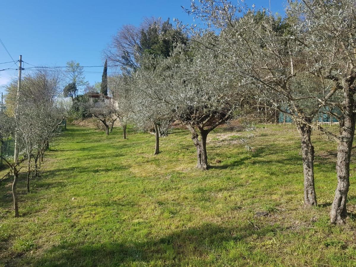 Domus Antiqua Bed & Breakfast Spello Exterior foto