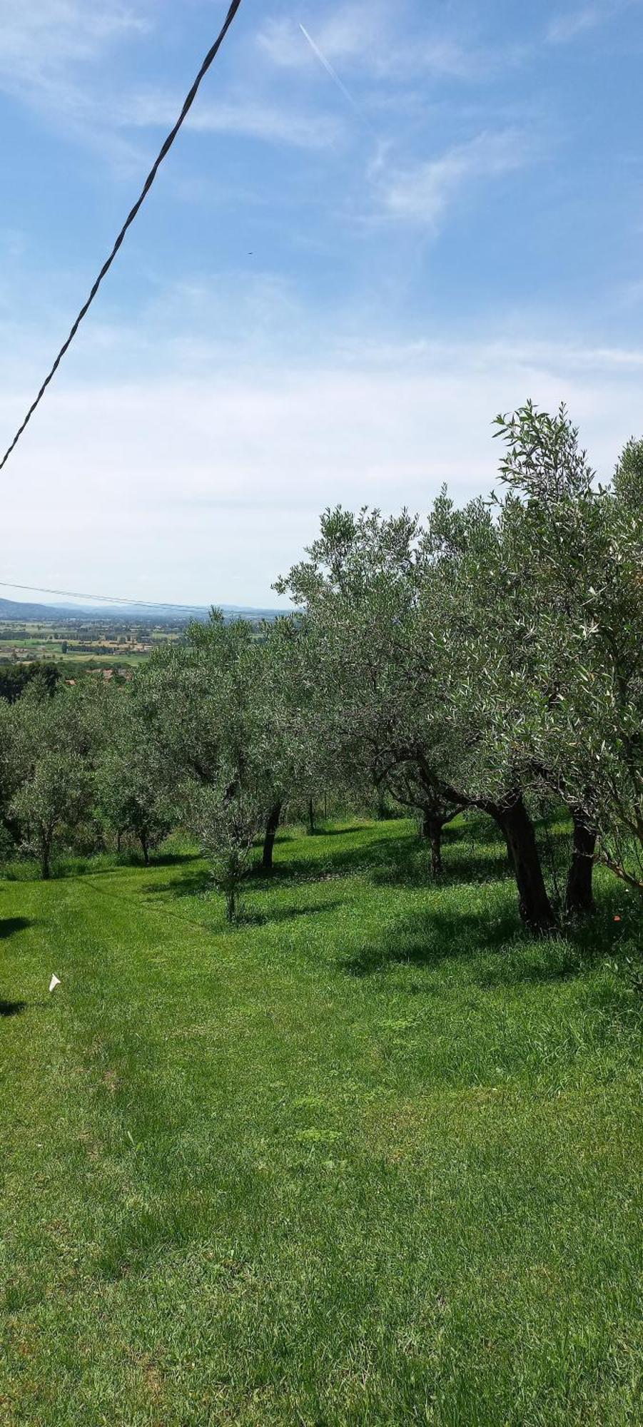 Domus Antiqua Bed & Breakfast Spello Exterior foto